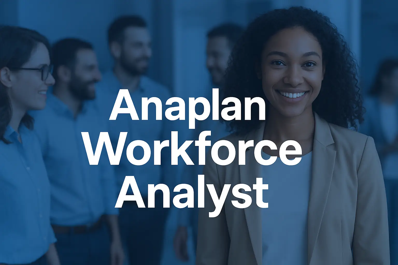 Anaplan Workforce Analyst